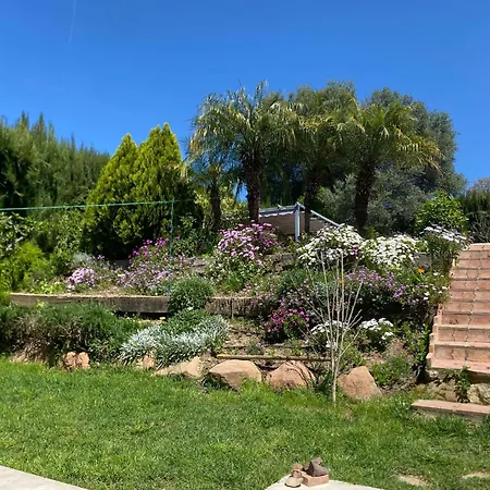 Cocotera Holiday home *